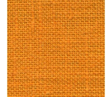 56 56
