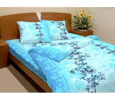 Елизавета 1739-2