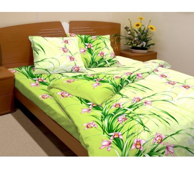 Санта Лючия 3089-1