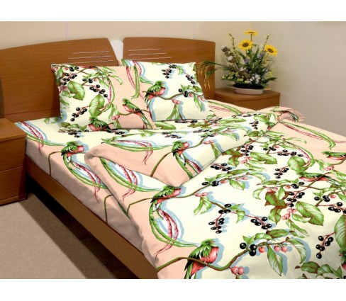 Райские птицы 2885-2