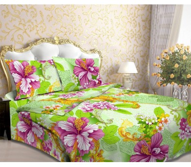 Валенсия-1 3806-1