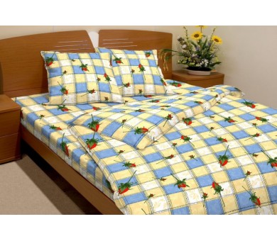 Веранда 1661-1